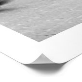 Rue Daguerre Paris Homage to Agnes Varda 1ポスター ポスター (角)