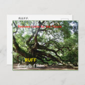 RUFF組織カード ポストカード (正面/裏面)