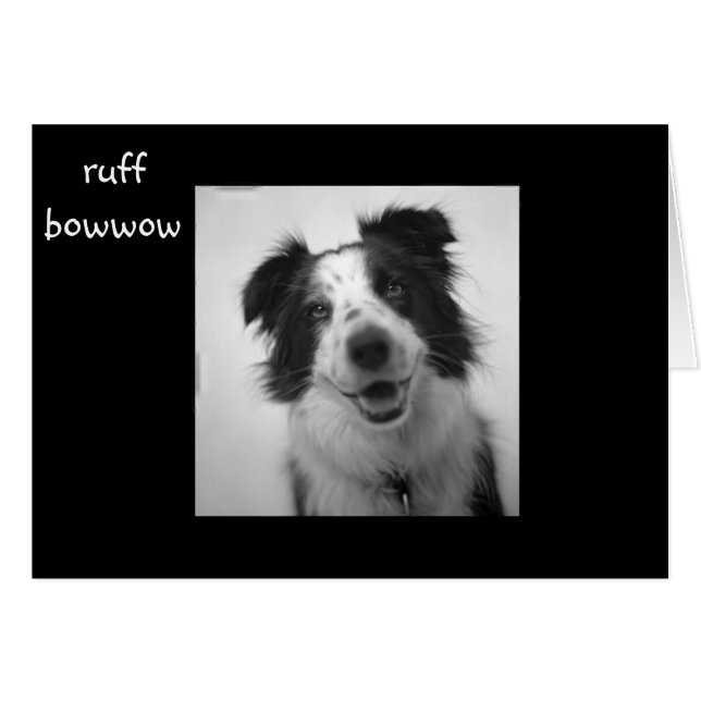 RUFF BOWOW "40歳の誕生日" (正面横)