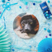 Ruffedの休息の赤いLemur ペーパープレート (パーティー)