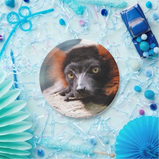 Ruffedの休息の赤いLemur ペーパープレート (パーティー)