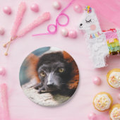 Ruffedの休息の赤いLemur ペーパープレート (パーティー)