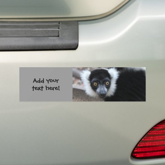 Ruffedの白黒Lemurの閉めて下さい バンパーステッカー (車上)