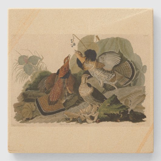 Ruffed Grouse - Audubon's Birds of America ストーンコースター (正面)