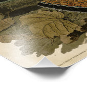 Ruffed Grouse - Audubon's Birds of America フォトプリント (角)