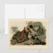 Ruffed Grouse - Audubon's Birds of America ポストカード (正面/裏面)