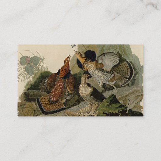 Ruffed Grouse - Audubon's Birds of America Bu 名刺 (裏面)