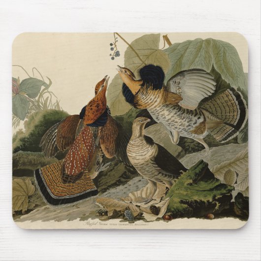 Ruffed Grouse - Audubon's Birds of America Poより マウスパッド (正面)