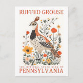 Ruffed Grouse Bird of Pennsylvania Travel ポストカード (正面)