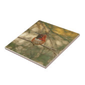 Rufousハチドリのモデル タイル (側面)