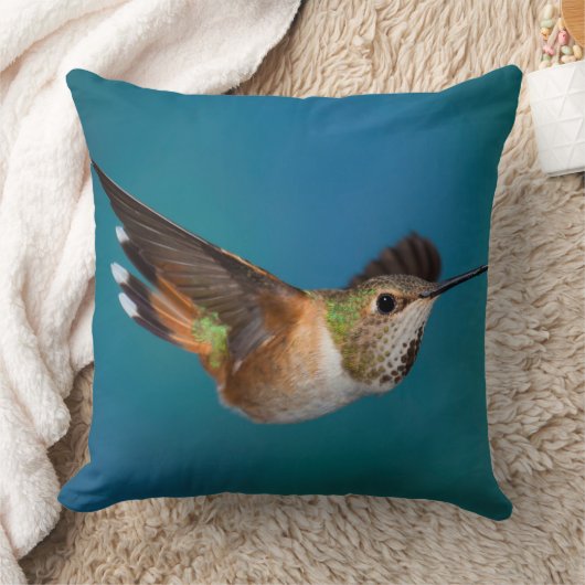 Rufousハチドリ クッション (ブランケット)