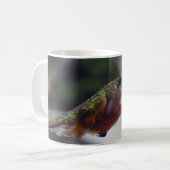 Rufousハチドリ-マグ コーヒーマグカップ (正面左)