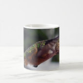 Rufousハチドリ-マグ コーヒーマグカップ (中央)