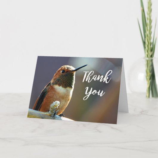 Rufous Hummingbirdフォトサンキューカード サンキューカード (正面)
