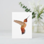 Rufous Hummingbird ポストカード (スタンド正面)