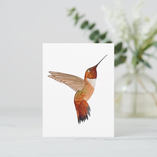 Rufous Hummingbird ポストカード (スタンド正面)