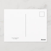 Rufous Hummingbird ポストカード (裏面)