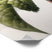 Rufous Hummingbird Bird Artプリントポスター ポスター (角)