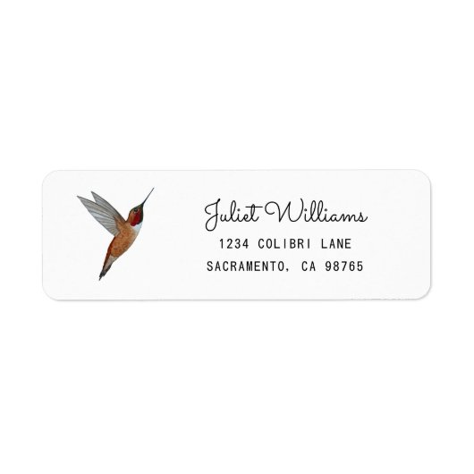 Rufous Hummingbird Return Address Label ラベル (正面)
