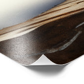 Rufus – 愛らしい赤いパンダ フォトプリント (角)