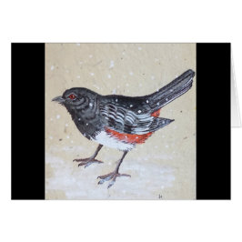 Rufus Sidedトーエ