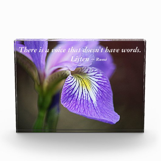 … Rumiを聞いて下さい フォトブロック (正面)