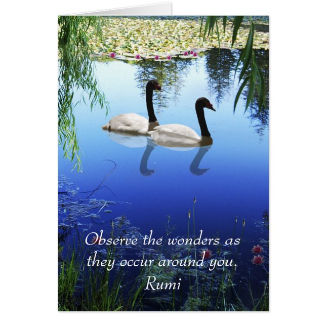 Rumi 疑問に思 The (正面)