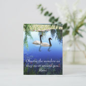 Rumi 疑問に思 The ポストカード (スタンド正面)