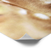 Rumi Where you stand ポスター (角)