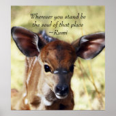 Rumi Where you stand ポスター (正面)