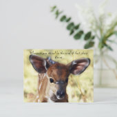 Rumi Where you stand ポストカード (スタンド正面)