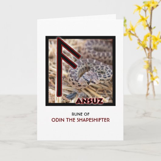 Rune Ansuz - Odin the Shapeshifter - Snake カード (黄色い花)
