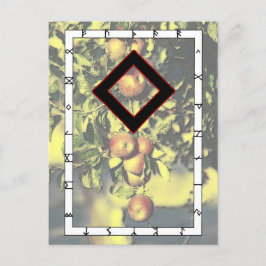 Rune Ingwaz - – ヒーローのはがき ポストカード