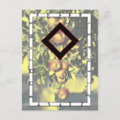 Rune Ingwaz - – ヒーローのはがき ポストカード (正面)