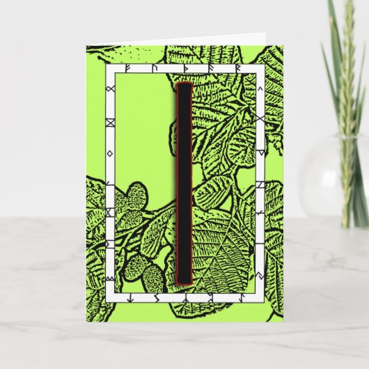 Rune Isa - Stillness Card カード (正面)