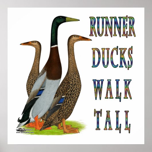 Runner Ducks Walk Tall ポスター (正面)