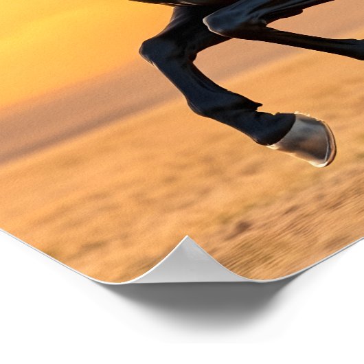 Running Black Stallion ポスター (角)