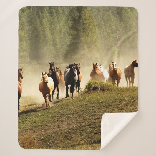 Running horses on Montana ranch シェルパブランケット (正面)