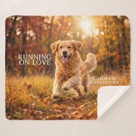 Running on Joy Golden Retriever シェルパブランケット