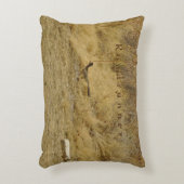 Running Roadrunner  アクセントクッション (正面(垂直))