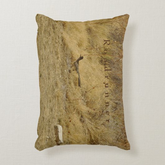 Running Roadrunner  アクセントクッション (正面(垂直))