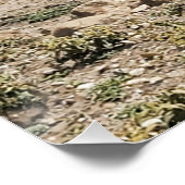 Running the Serengeti ポスター (コーナー)