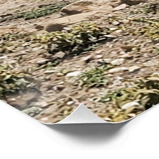 Running the Serengeti ポスター (コーナー)