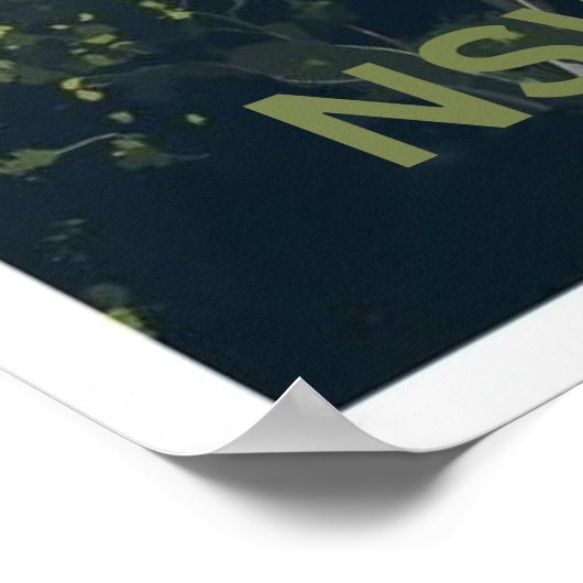 Runnyford, Clyde River, NSW ポスター (角)