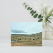 Rural Baker County, Oregon Canvas Print ポストカード (スタンド正面)