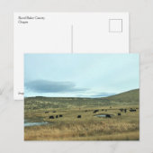Rural Baker County, Oregon Canvas Print ポストカード (正面/裏面)