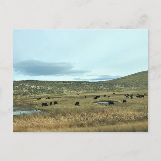 Rural Baker County, Oregon Canvas Print ポストカード (正面)