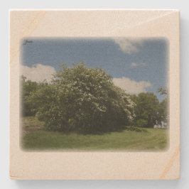 Rural Sweden June ストーンコースター