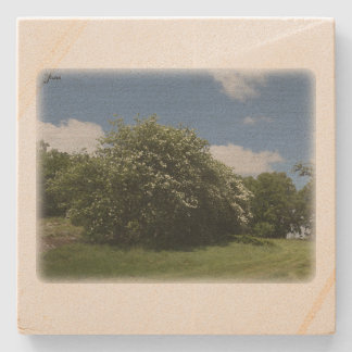 Rural Sweden June ストーンコースター