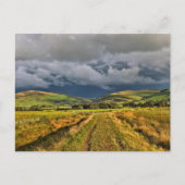 RURAL VIEWSウェールズ ポストカード (正面)